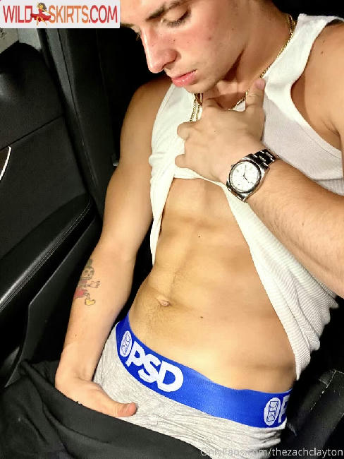 thezachclayton / thezachclayton / zachclayton nude OnlyFans, Instagram leaked photo #74