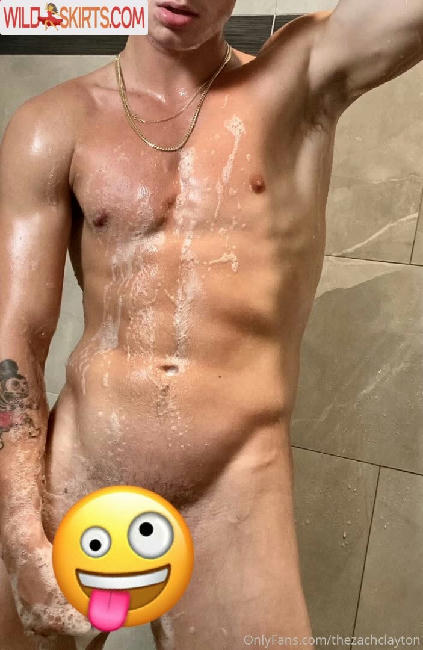 thezachclayton / thezachclayton / zachclayton nude OnlyFans, Instagram leaked photo #104