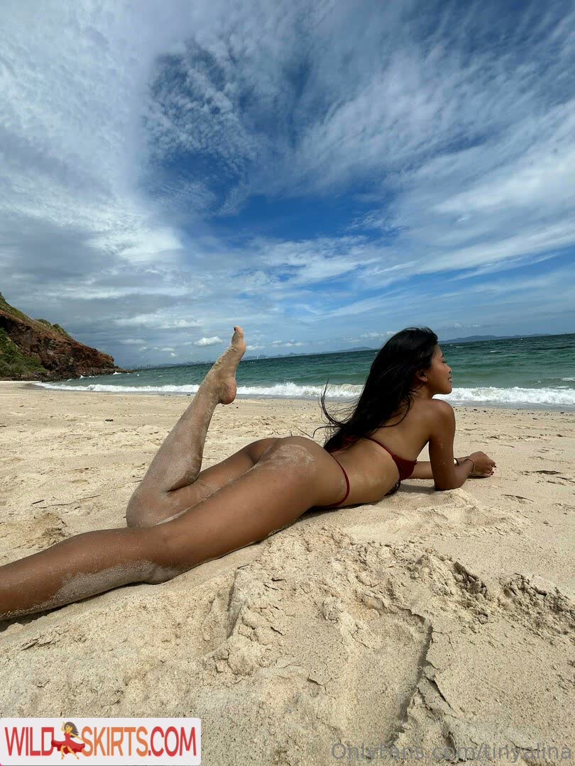 Tiny Alina / alinakimgirl / tiny.alina.kim / tiny_alina / tinyalina nude OnlyFans, Instagram leaked photo