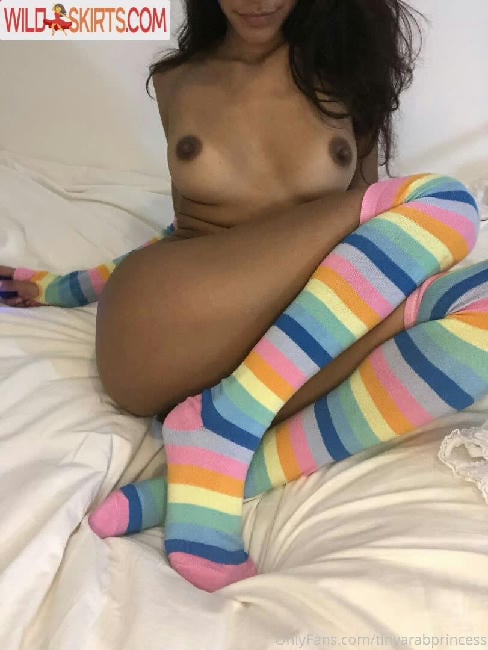 Tinyarab / thisisrisky69 / tinyarab / tinyarab_02 nude OnlyFans, Instagram leaked photo #265