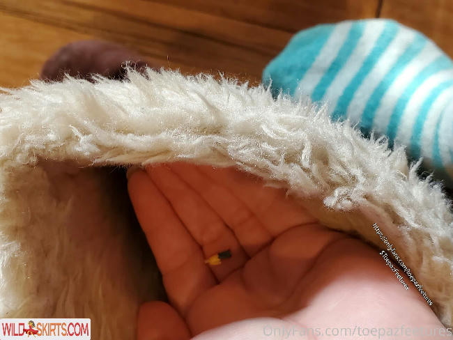 toepazfeetures nude OnlyFans leaked photo #114