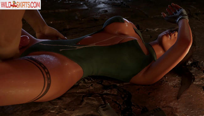 Tomb Raider [Lara Croft] nude leaked photo #81