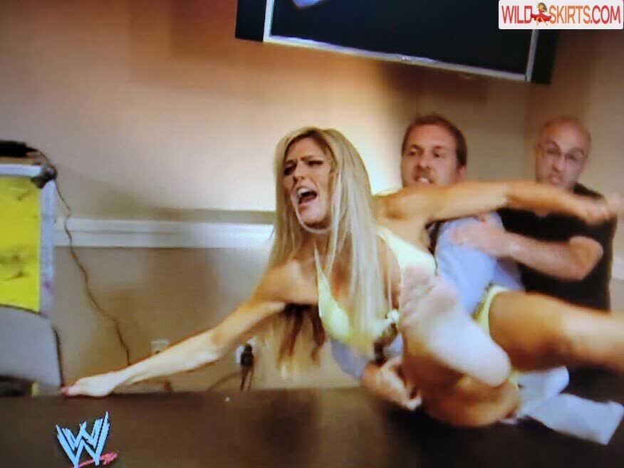 Torrie Wilson nude leaked photo #822