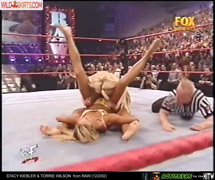 Torrie Wilson nude leaked photo #148