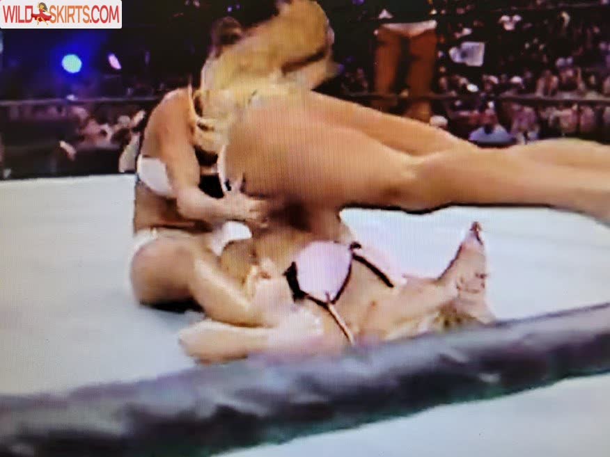 Torrie Wilson nude leaked photo #235