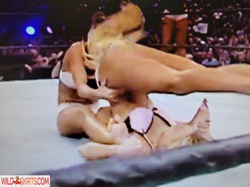 Torrie Wilson nude leaked photo #163