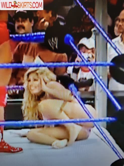 Torrie Wilson nude leaked photo #220