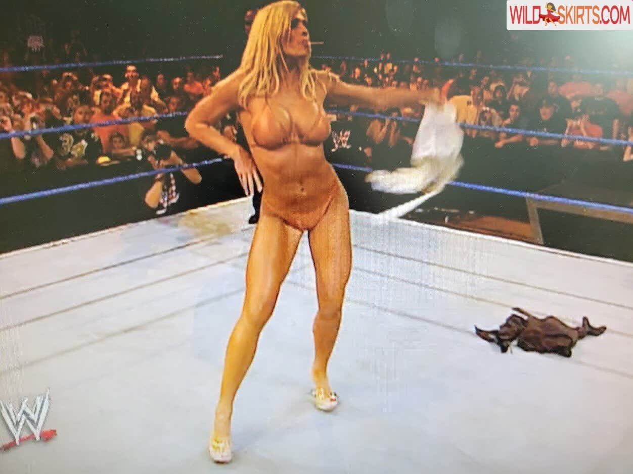 Torrie Wilson nude leaked photo #265