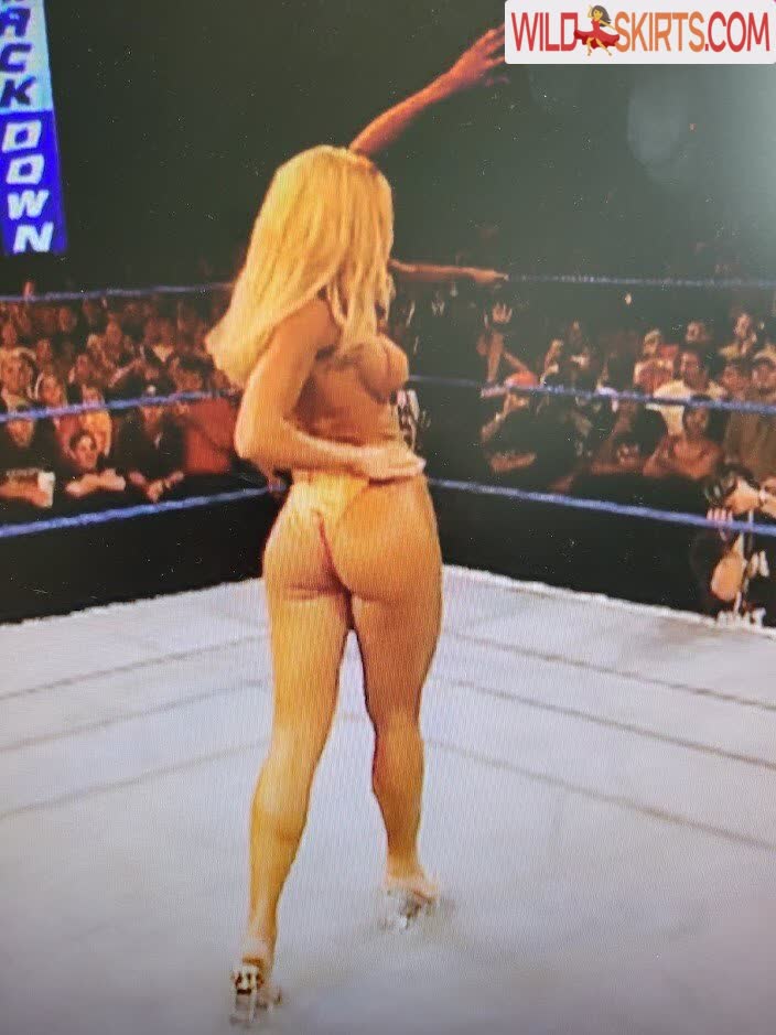 Torrie Wilson nude leaked photo #337