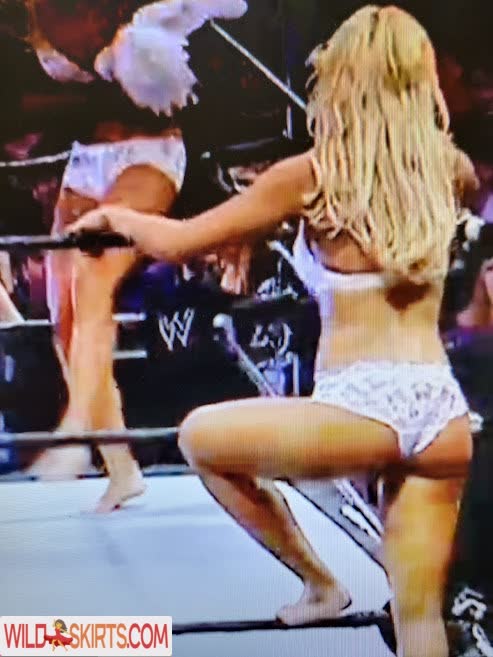 Torrie Wilson nude leaked photo #184