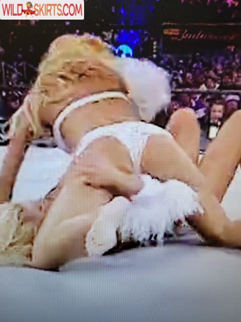 Torrie Wilson nude leaked photo #543