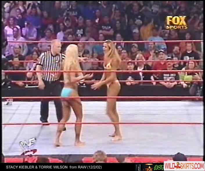 Torrie Wilson nude leaked photo #642