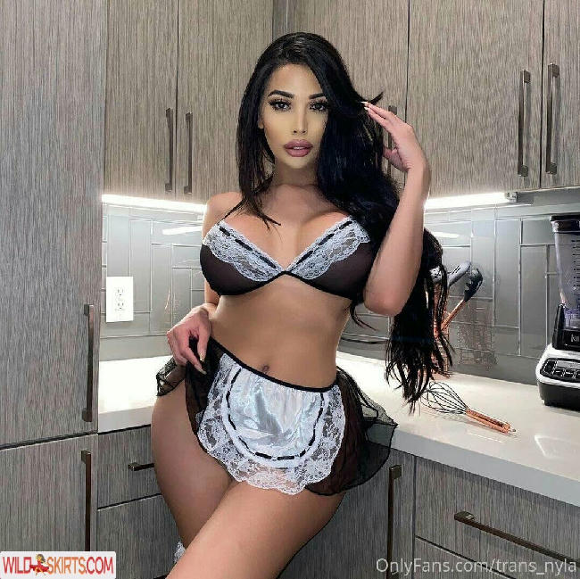 trans_nyla / nylacaselli / trans_nyla nude OnlyFans, Instagram leaked photo #143