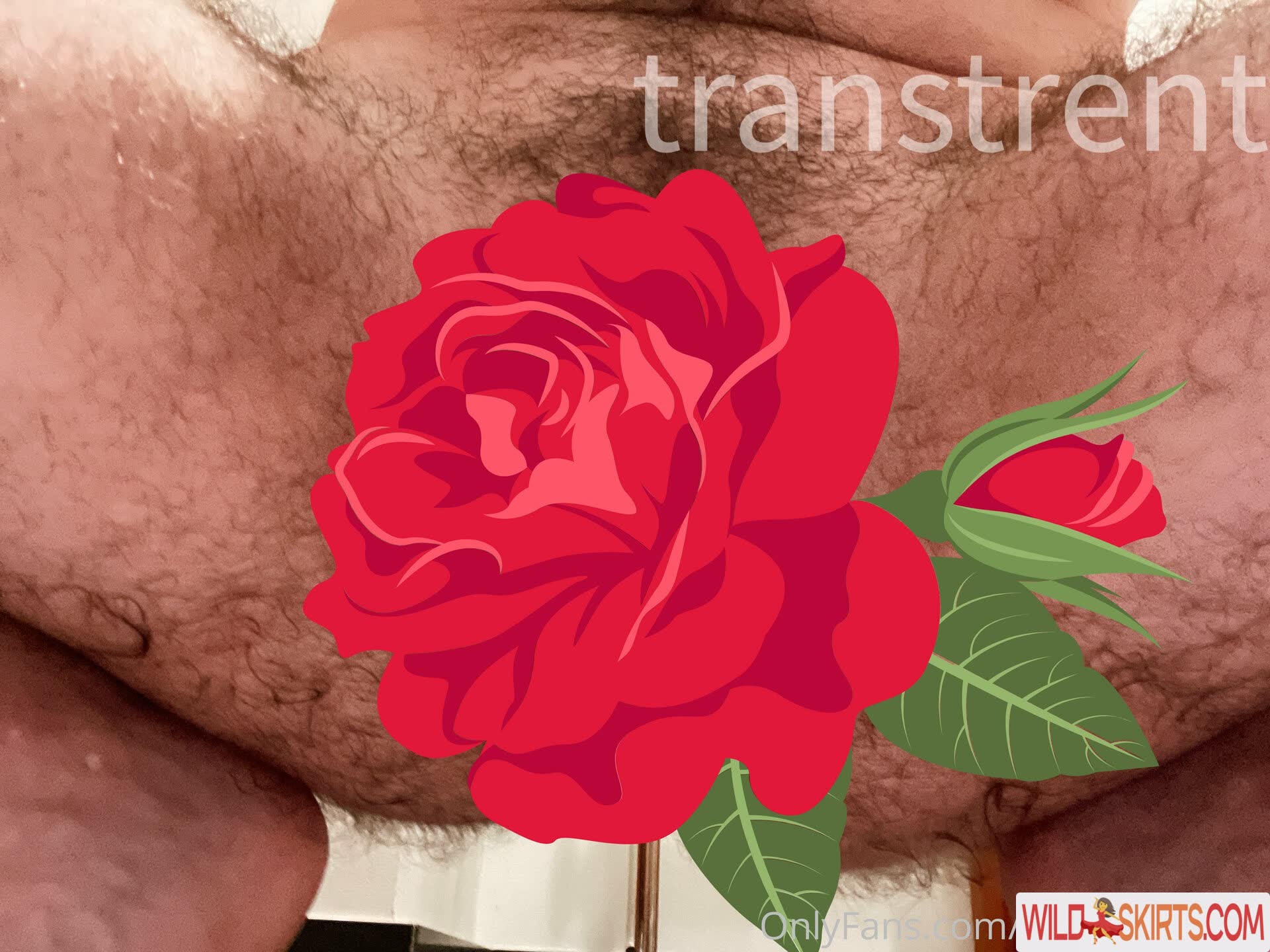 transtrentfree / toesaintfree / transtrentfree nude OnlyFans, Instagram leaked photo #70