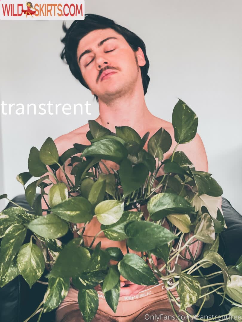 transtrentfree / toesaintfree / transtrentfree nude OnlyFans, Instagram leaked photo #117