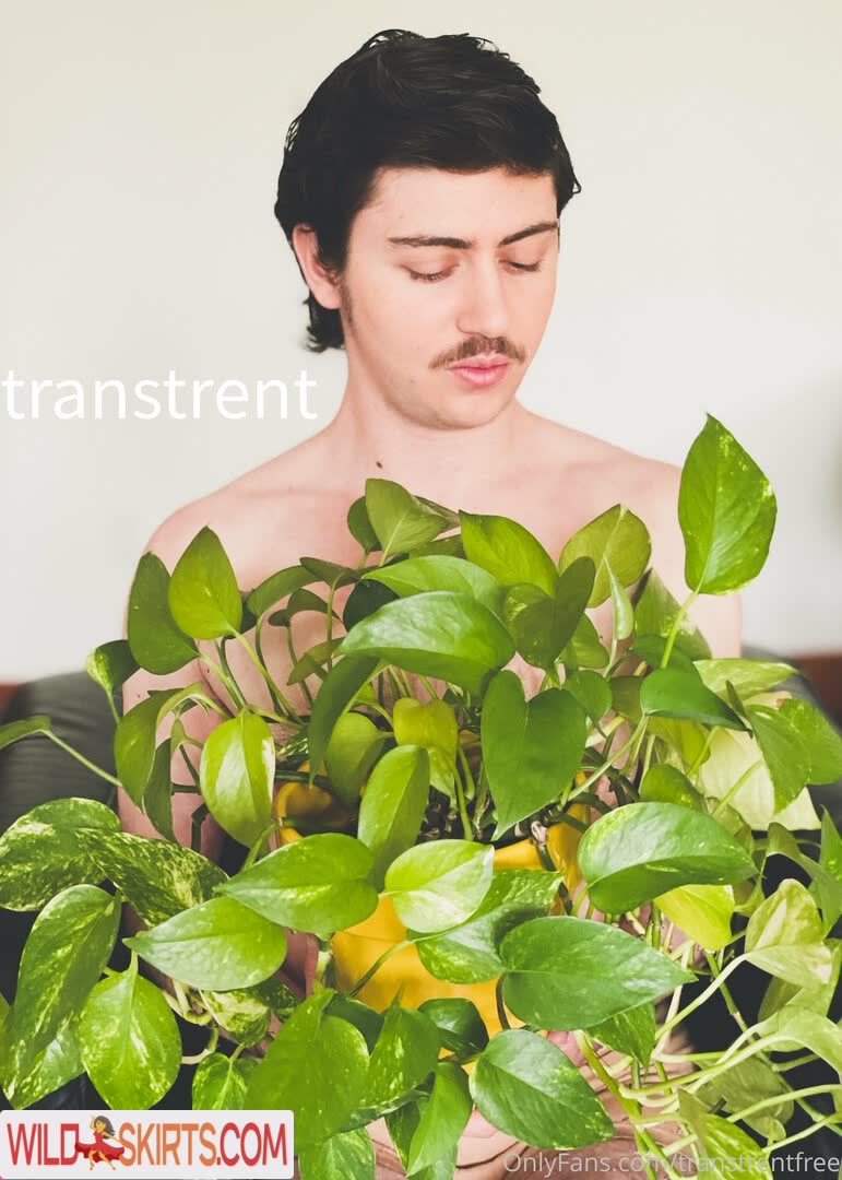 transtrentfree / toesaintfree / transtrentfree nude OnlyFans, Instagram leaked photo #118
