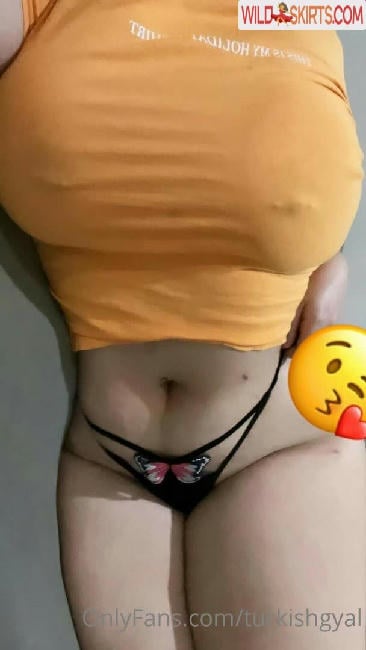 Turkishgyal / turkishgal / turkishgyal nude OnlyFans, Instagram leaked photo #31