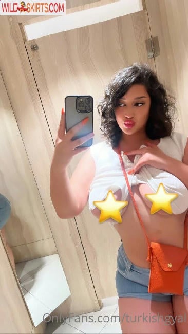 Turkishgyal / turkishgal / turkishgyal nude OnlyFans, Instagram leaked photo #39