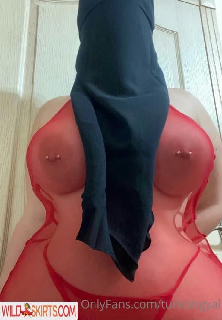 Turkishgyal / turkishgal / turkishgyal nude OnlyFans, Instagram leaked photo #51