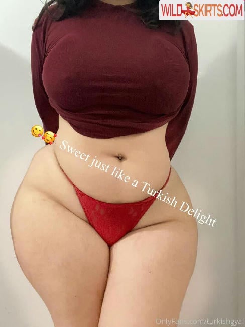 Turkishgyal / turkishgal / turkishgyal nude OnlyFans, Instagram leaked photo #67