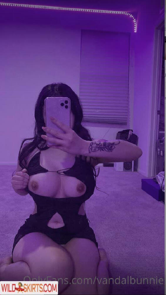 vandalbunnie nude OnlyFans, Instagram leaked photo #45