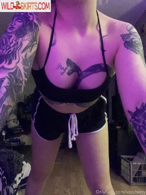 vexcherry / hannys_of_rochester / vexcherry nude OnlyFans, Instagram leaked photo #245