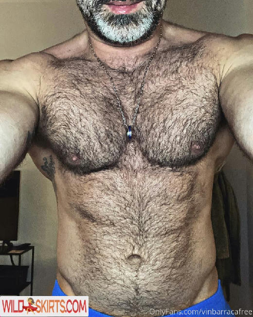 vinbarracafree / vinbarracafree / wfreed22 nude OnlyFans, Instagram leaked photo #48