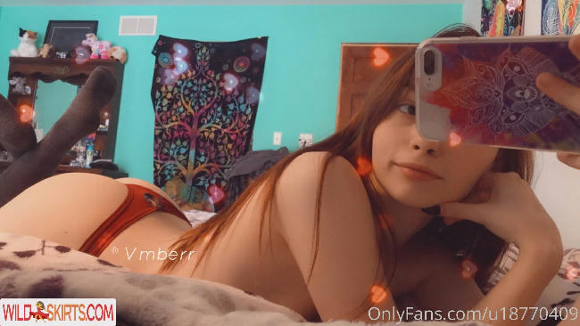 vmberr nude OnlyFans leaked photo #91