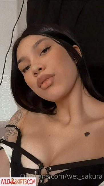 wet_sakura / qween_sakura / wet_sakura nude OnlyFans, Instagram leaked photo #27