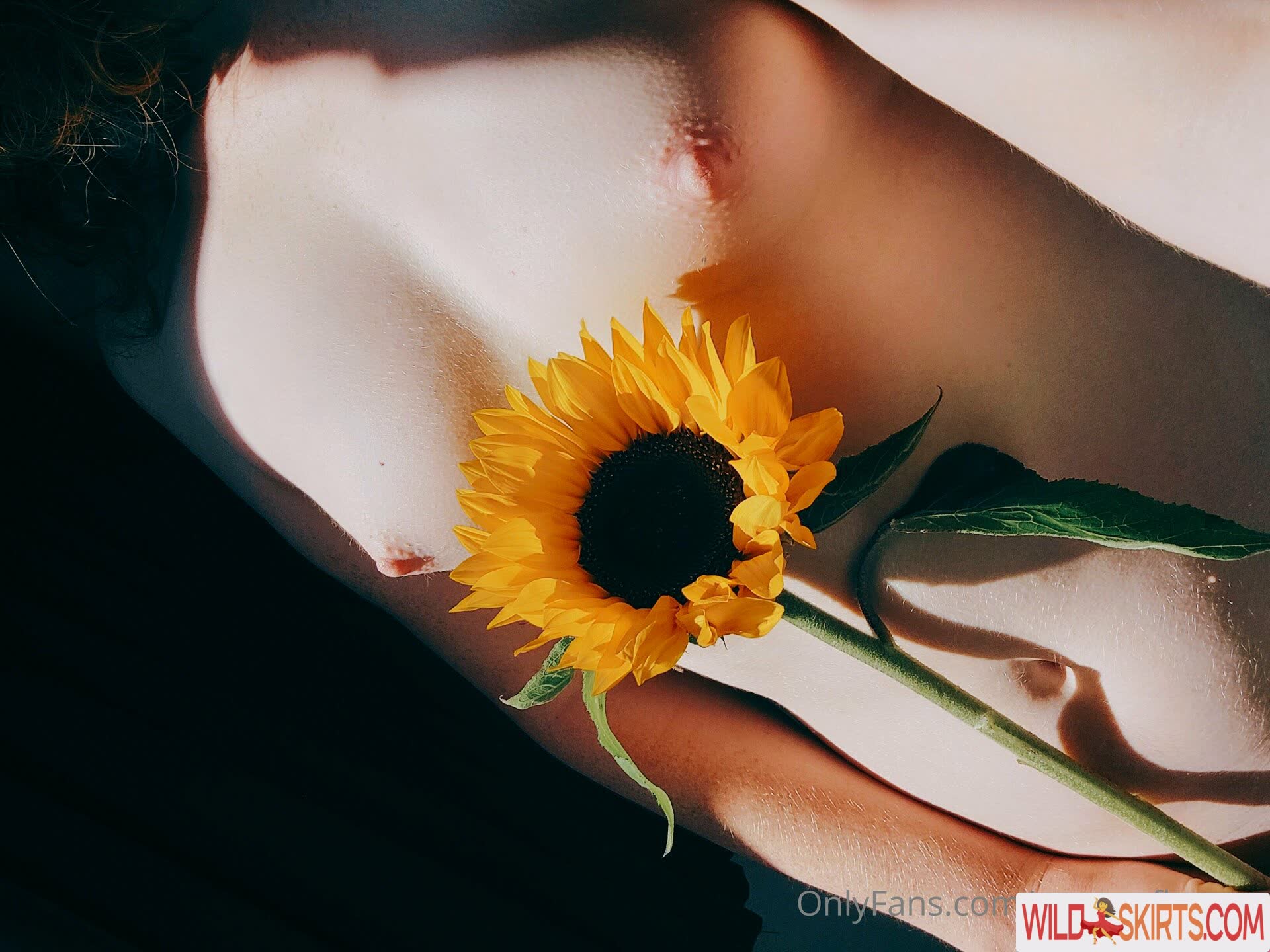 Wetsunflowers nude leaked photo #5