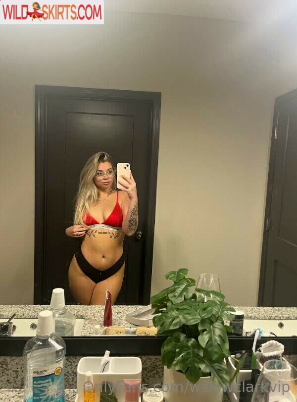 Willow Clark / willowclark / willowclarkk / willowclarkvip nude OnlyFans, Instagram leaked photo #1