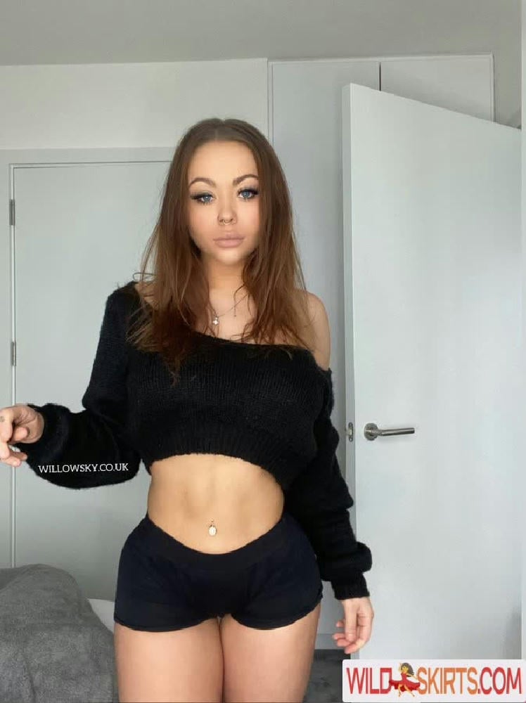 Willow Sky / ukwillow1 / willowsky nude OnlyFans, Instagram leaked photo #5