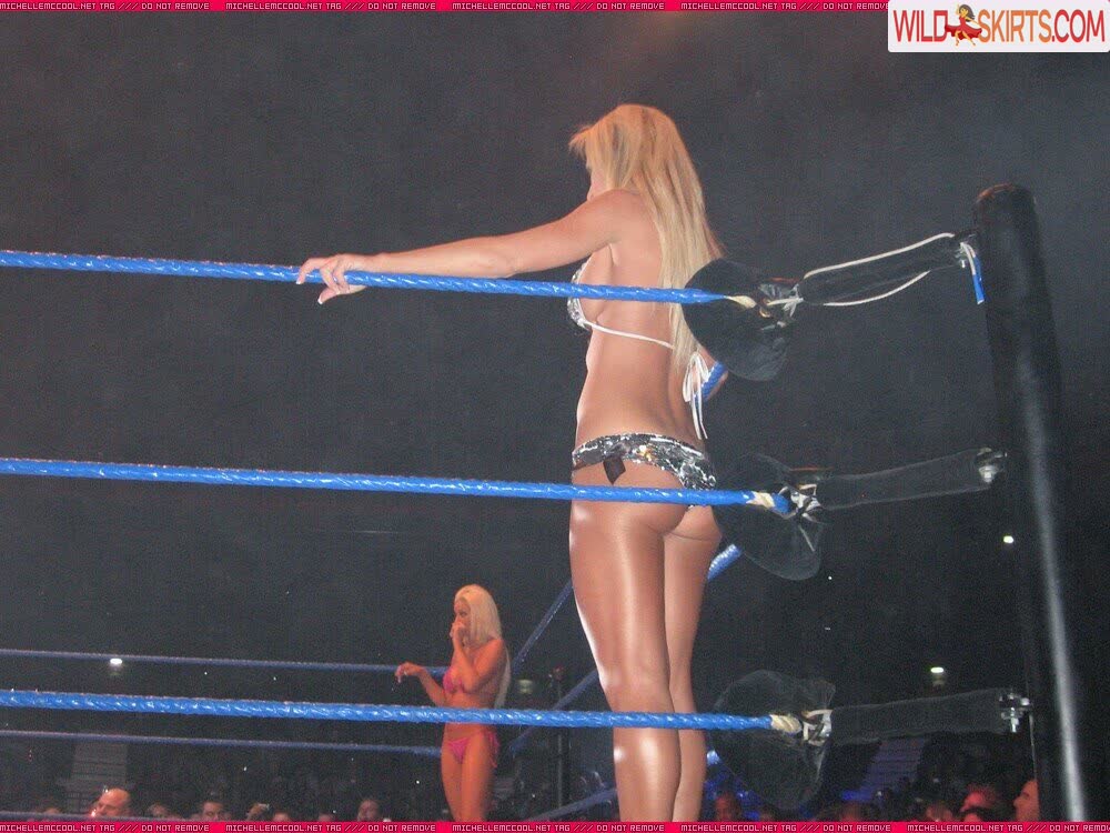 WWE Michelle McCool nude leaked photo #50