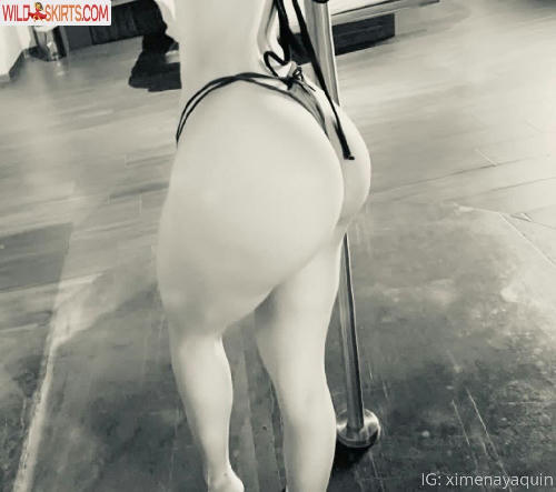 Ximena Yaquin / ximenayaquin_oficial / xximenayaquin nude OnlyFans, Instagram leaked photo #47