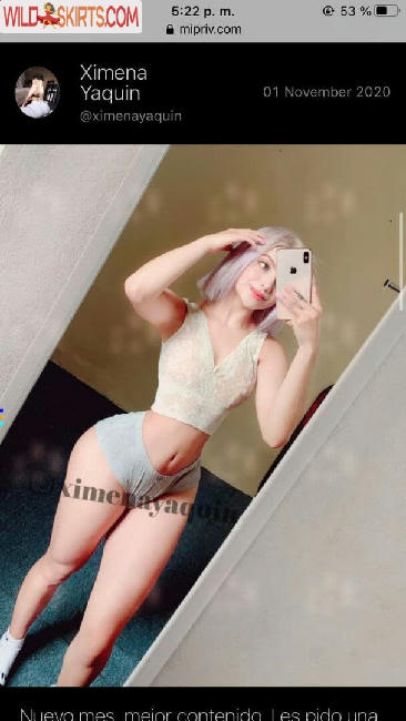 Ximena Yaquin / ximenayaquin_oficial / xximenayaquin nude OnlyFans, Instagram leaked photo #101