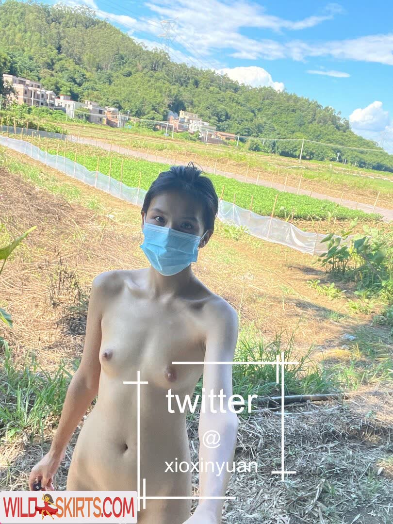 Xioxin Yuan nude leaked photo #2