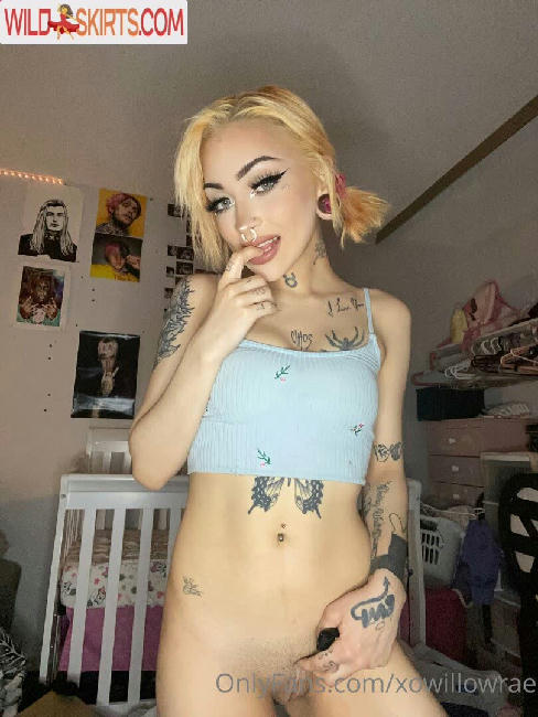 xowillowrae / raewillowxo / siqbunni / spicyt0kes / wyntersaturn / xobellacore / xowillowrae nude OnlyFans, Instagram leaked photo #7