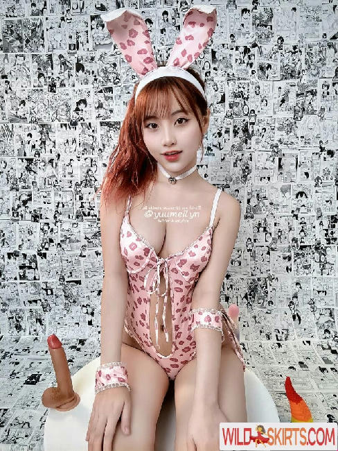 yuumeilyn / youmeiliu / yuumeilyn nude OnlyFans, Instagram leaked photo #161