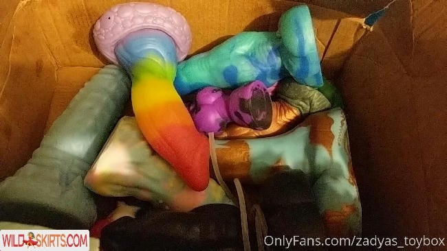 zadyas_toybox / owethushamase / zadyas_toybox nude OnlyFans, Instagram leaked photo #47