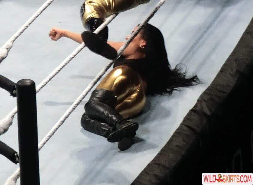 Zelina Vega nude leaked photo #27