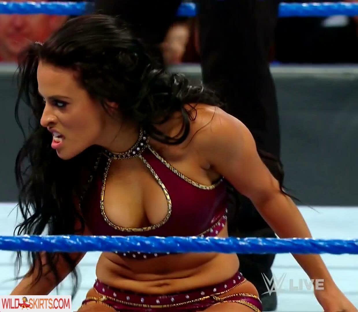 Zelina Vega nude leaked photo #29