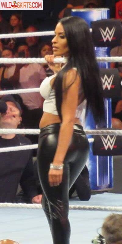 Zelina Vega nude leaked photo #96