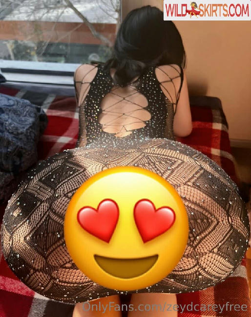 Zeydcarey / zeydcarey nude OnlyFans, Instagram leaked photo #217