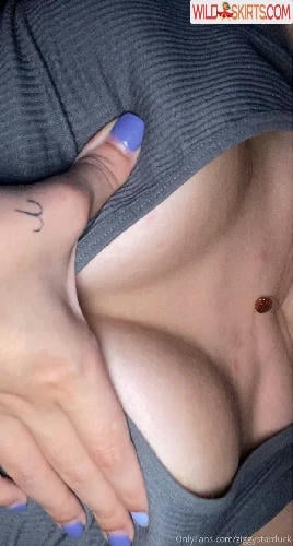 Ziggystarduck / Ziggystarduck nude OnlyFans leaked photo #16